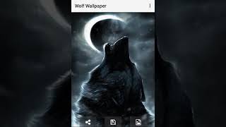 Wolf Wallpaper Hd screenshot 2