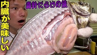 小便の臭いと言われる魚。実は内臓がめちゃめちゃ美味しいんです！！！