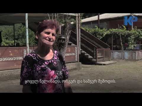 ჟონეთი 2