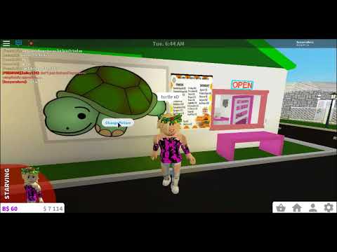 Cute Decal Id In Bloxburg Youtube - roblox turtle decal ids for pictures