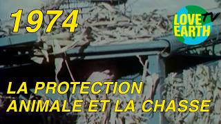 26/05/1974: Projet de Loi sur la Chasse et les Nouvelles Espèces Protégées