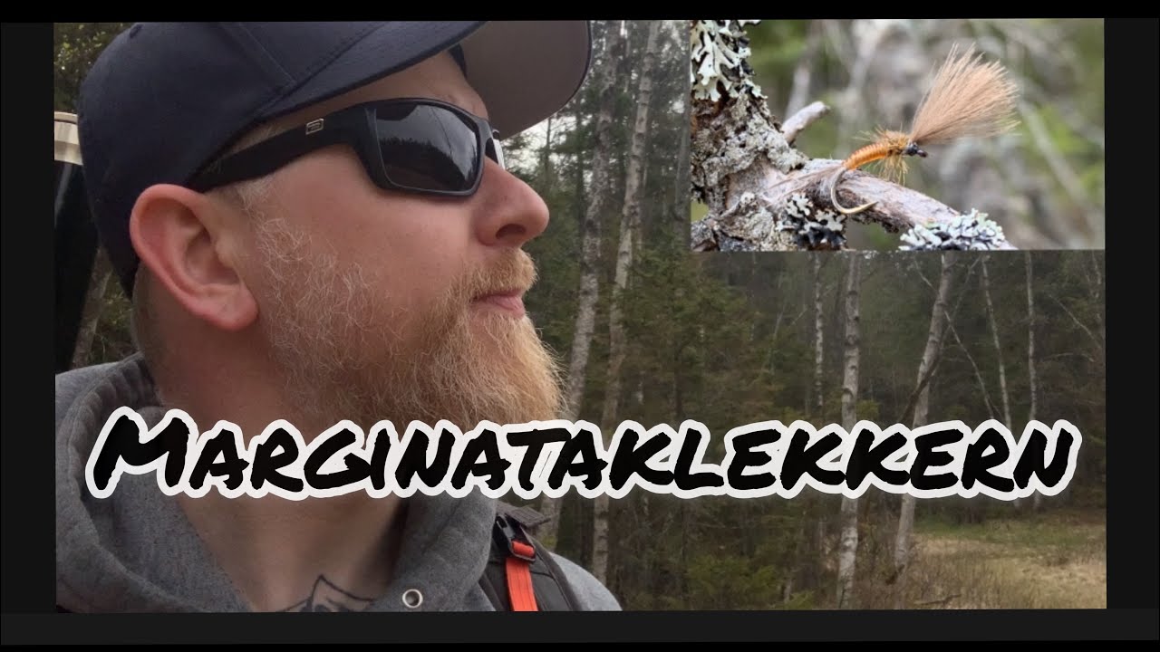 Marginataklekkern - Emerging Mayfly