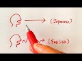 6 Essential Things You Must Know Before Studying Japanese