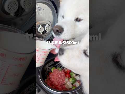 芽キャベツのコロコロ煮つくったら爆食してくれました！