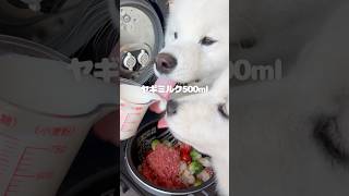 芽キャベツのコロコロ煮つくったら爆食してくれました！