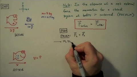 How to Solve a Conservation of Linear Momentum Problem - Simple Example