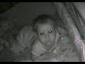 Mom Hears Man Say “Wake Up” on Baby Monitor. Then Realizes She Never Heard This Voice Before