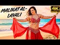 Malikat Al Layali ملكة الليالي Arabic Belly Dance Song 2025 