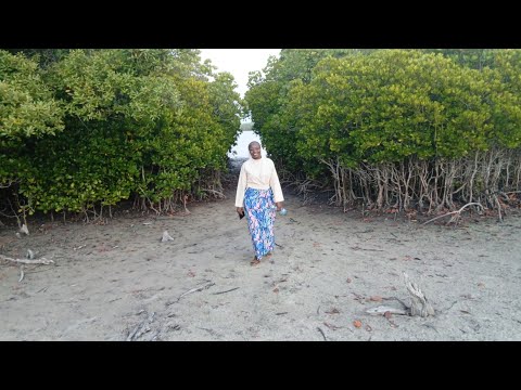 Utume Wa Watawa Jimboni Malindi