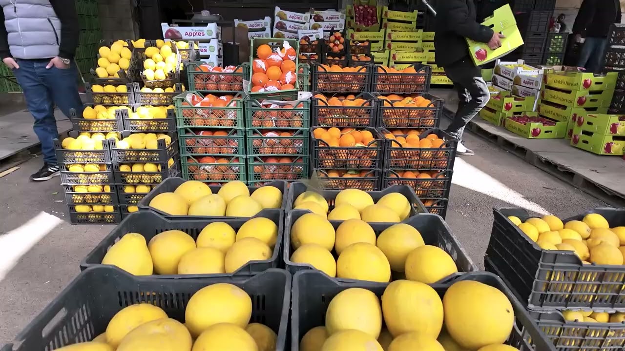 خطة وزارة الزراعة 2026–2030: نحو قطاع زراعي مستدام يعزز الأمن الغذائي في سورية