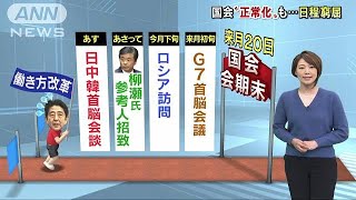 国会ようやく正常化　重要法案審議も日程は“窮屈”(18/05/08)