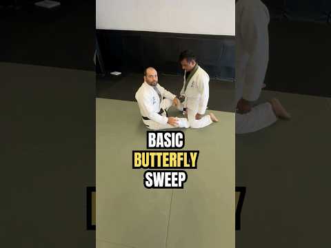 How to Finish a Butterfly Sweep When Your Opponent Resists #JiuJitsu #ButterflySweep #friscotx
