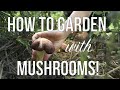 Jardinage et culture de champignons  comment faire pousser des champignons dans votre jardin annuel ou en permaculture