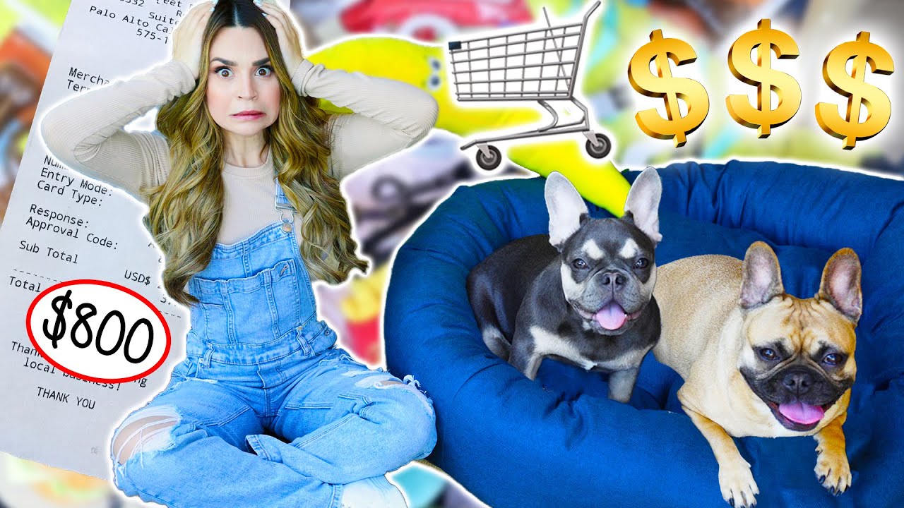 Buying My Dogs Everything They Touch!!