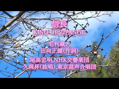 1992年　平成4年　NHK大河ドラマ　信長　記念色紙　金色 信長 KING OF ZIPANGU 完全版第弐集 DVD 6枚組 出演 緒形直人