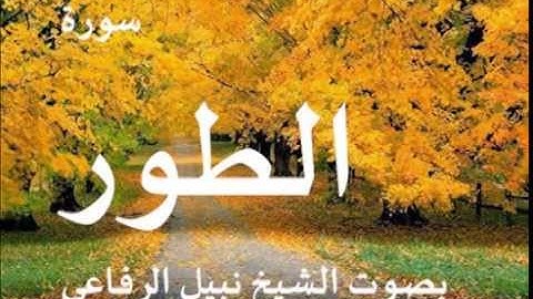 سورة الطور بصوت الشيخ / نبيل الرفاعي 52