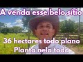 A venda esse belo sítio de 36 hectares todo plano, planta nela toda