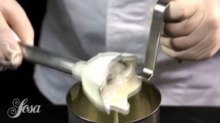 OLIVE OIL FOAM1
