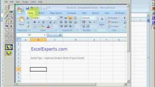 ExcelExperts.com - Excel Tips - Capture Screen Shot of your Excel