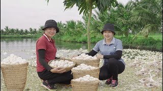 Harvest Duck Eggs Bring to the market Completing the water well project Lucia Daily Life