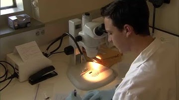 One Health Approach to Zoonotic Diseases