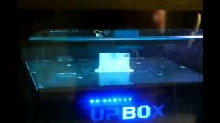 UP! Box by Tiertime 3d Printer Time Lapse