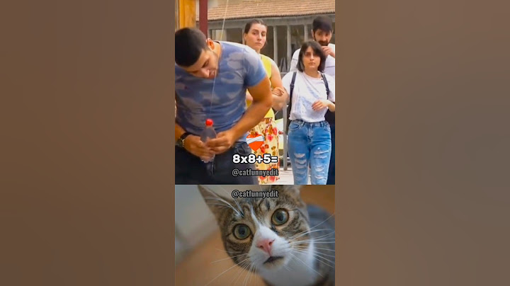 this will surprise you🗿 #cat #dance #memes #funny