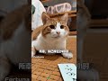 Unleash Your Inner Beast: TikTok's Magical Creatures! FantasticAnimals TikTokMagic Dreams