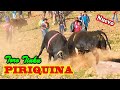 Toro Tinku de PIRIQUINA 2015 (Video Oficial) de ALPRO BO..