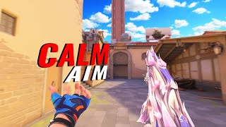 Calm Aim + 0.21 800dpi = AIMLOCK
