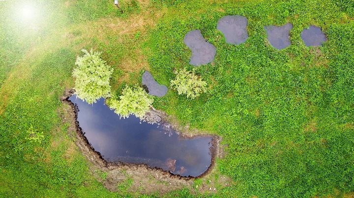 Building a Wildlife Pond for Amphibians