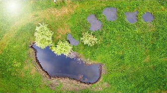 Building a Wildlife Pond for Amphibians