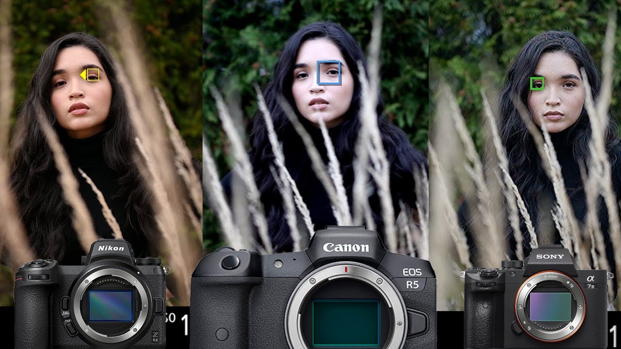 Nikon Z6II vs Canon R5 vs Sony A7III Autofocus Comparison- This is what I learned!