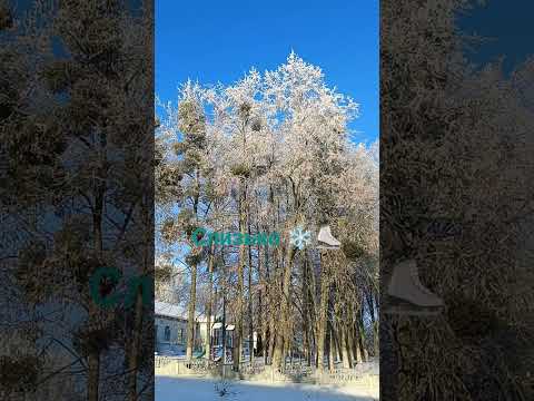 Слизько відеодня Snow позитив природа життяяквоноє українськийютуб Like Love Rek 