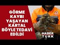 Görme kaybı yaşayan kartal tedavi edilerek doğaya salındı