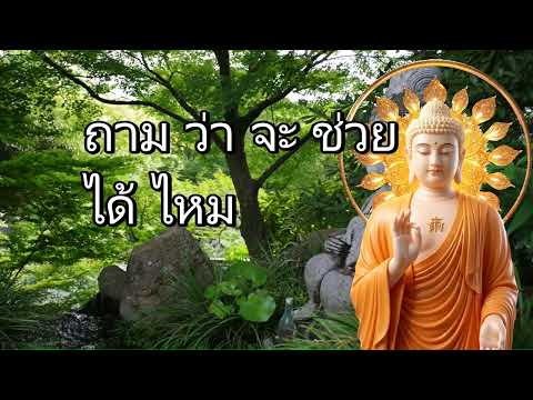 ควรทำบุญ...เพราะบุญนำความสุขมาให้ #พุทธวจน #ธรรมะคลายทุกข์ #ธรรมะ #พระมหาบุญช่วย ปัญญาวชิโร