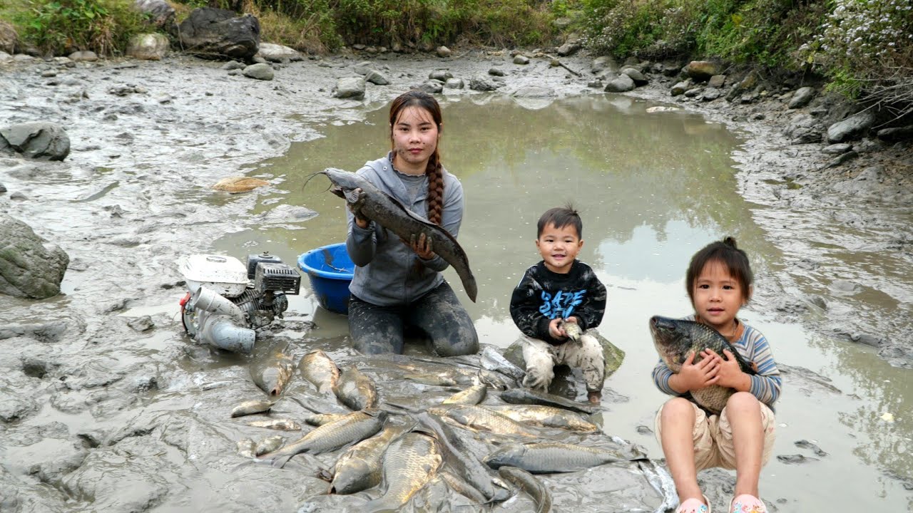 How a mother and her young son catch giant fish from an old fish pond and sell them