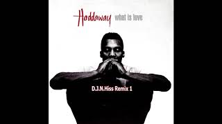 Haddaway - What Is Love (D.J.N.Hiss Remix) 1