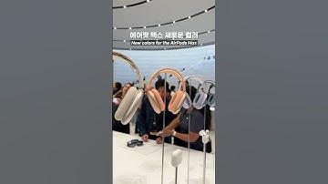 작정한 애플 에어팟 맥스 새로운 컬러 실물
