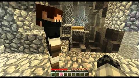 Minecraft - Assassin