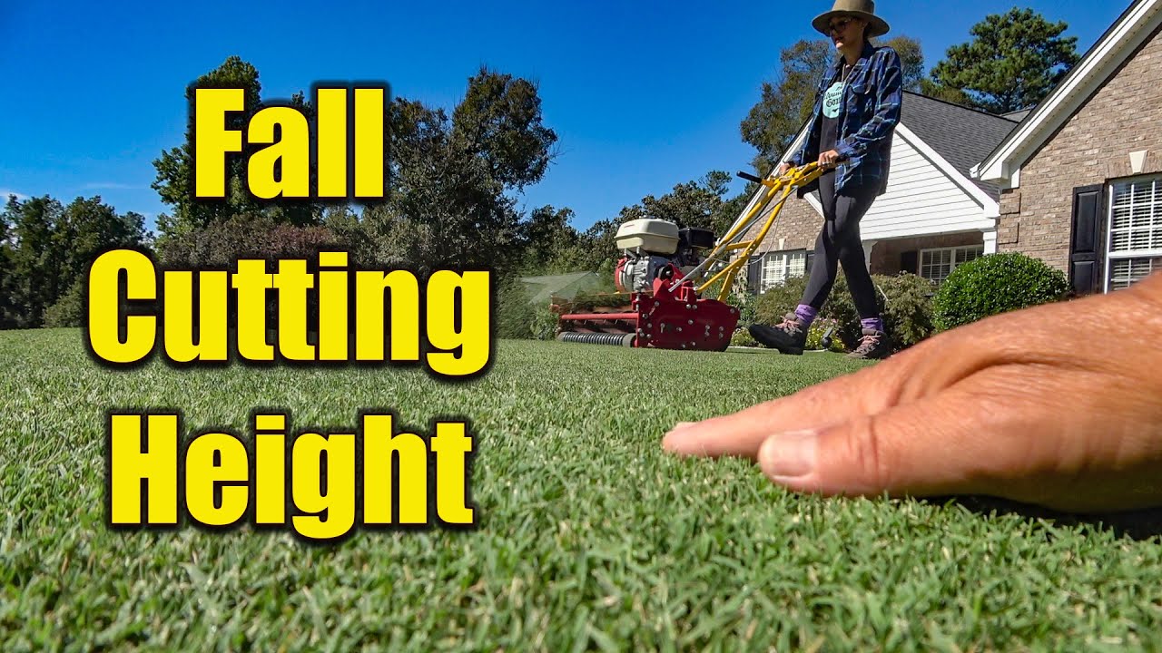 Fall Bermuda Lawn Cutting Height YouTube fall-bermuda-lawn-cutting-height-youtube