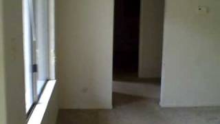 Yucca left Side.AVI