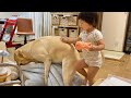 必死な子の横を気にせず通り過ぎる