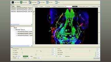 FluoRender - An Interactive Visualization Tool for Multi-Channel Confocal Microscopy