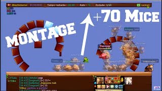 TRANSFORMICE - Mapezza [Montage] - Boozkoo TFM