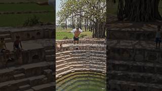 🥰​गांव का देसी एडवेंचर: ऐतिहासिक बावड़ी में जांबाज छलांग! 🌊🌳 @prakashsinghstar