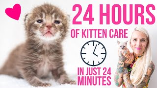 24 Hours in the Life of a Kitten Foster Mom!