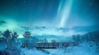 Beautiful Relaxing Music, Peaceful, Calm🌸|| Healing Power 🌼|| Exploring Serenity🌺||