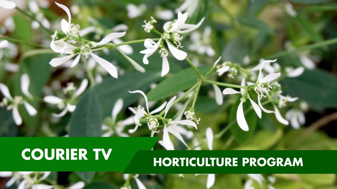 College of DuPage Horticulture Program