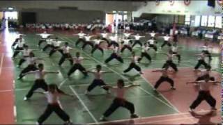 20100501  99年青年盃全國青少年武術錦標賽開幕式 01.mpg